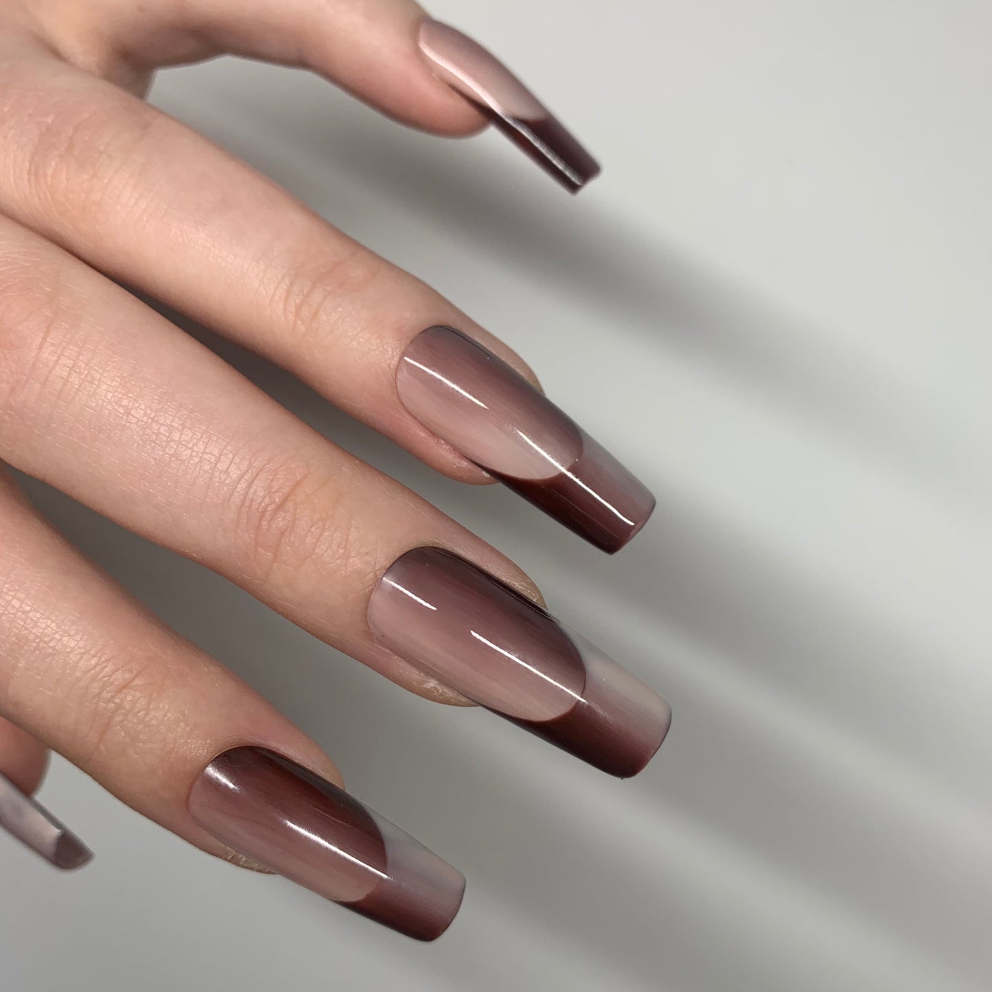 MTO: Trendy Brown Frenchies